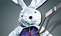 Cure the Bunny